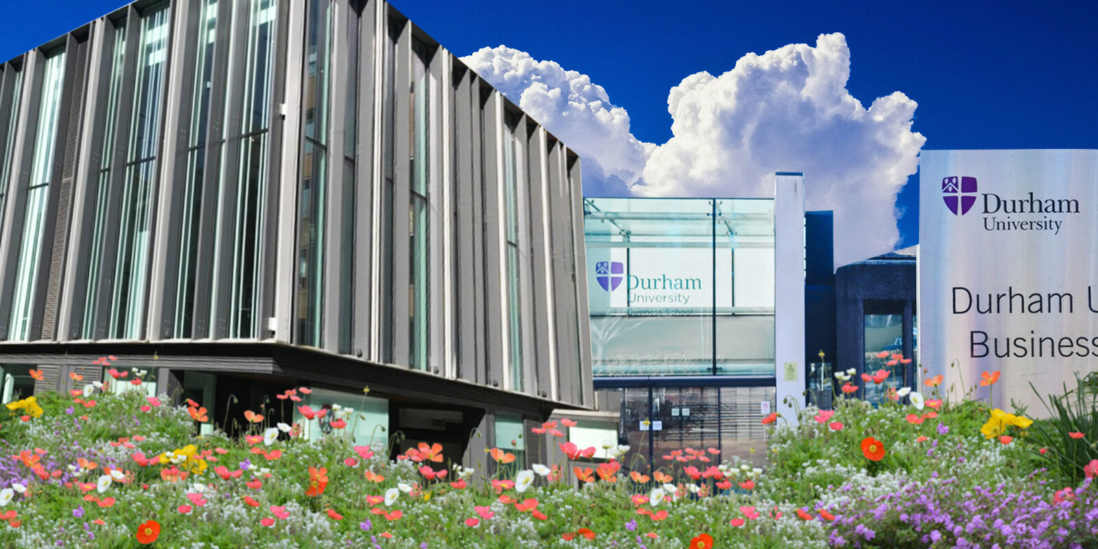 CVblog-5Business-AnalyticsUni