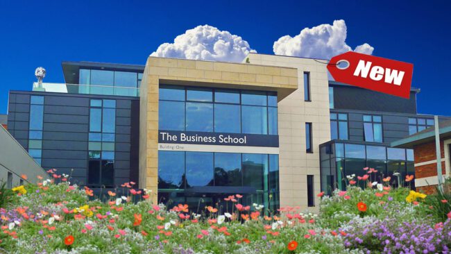 CVblog-Business-Analytics-Exeter