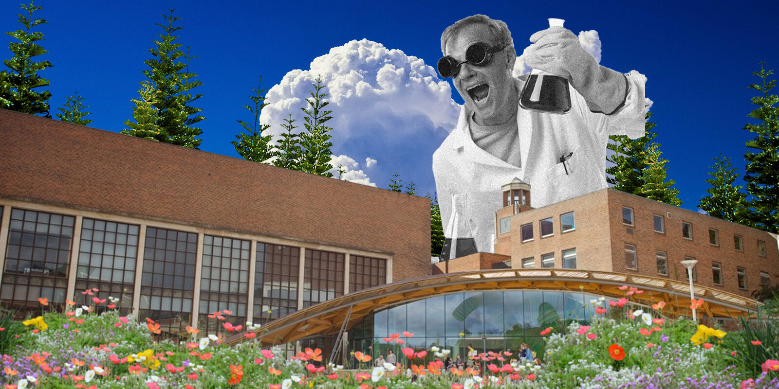 CVblog-Data-Science-Exeter