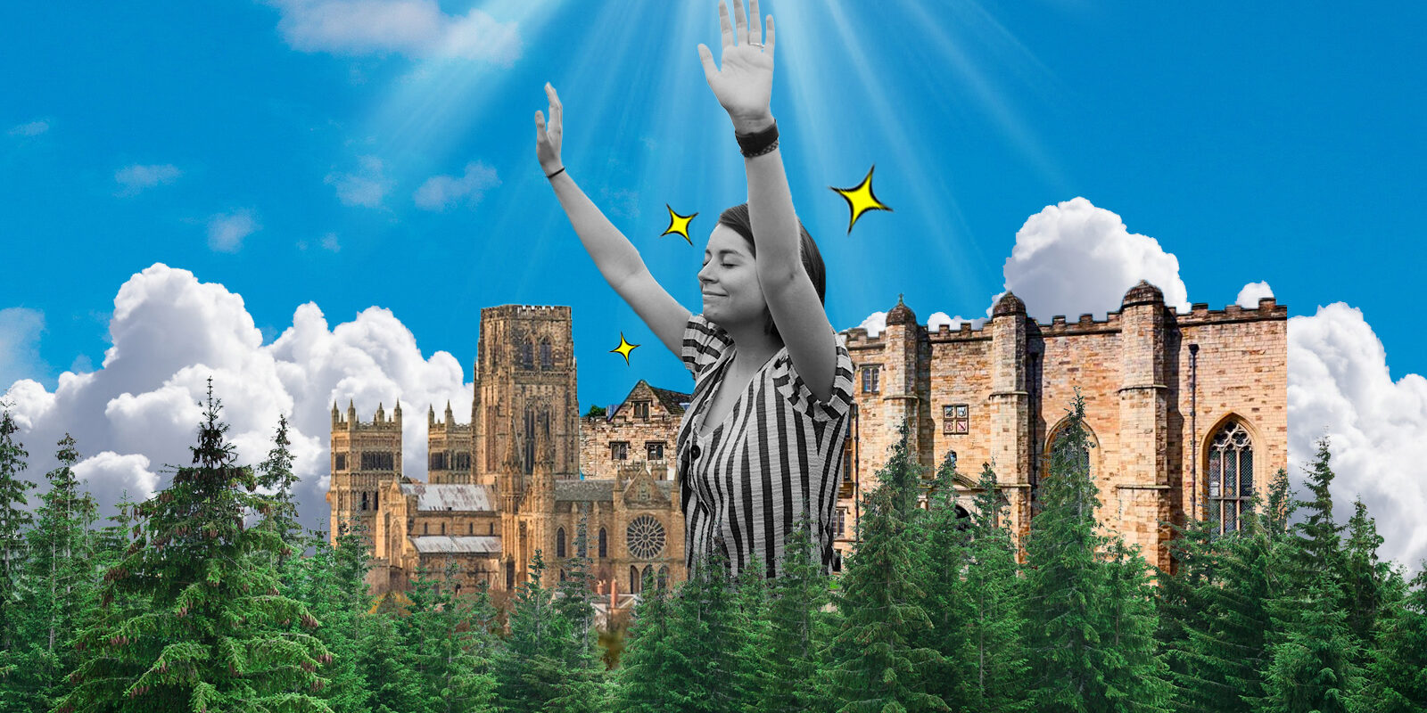 CVblog-LL.M-pickyourhandup