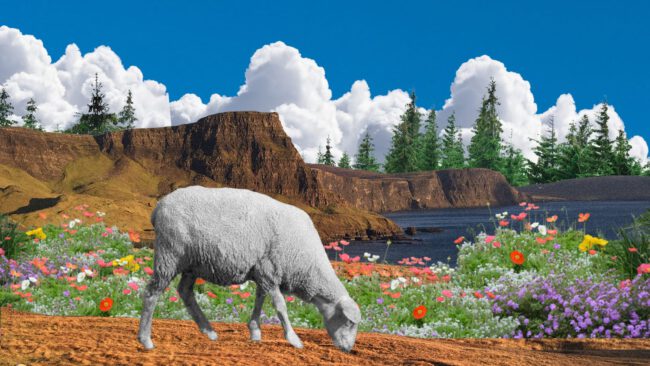 CVblog-Scottish Highland