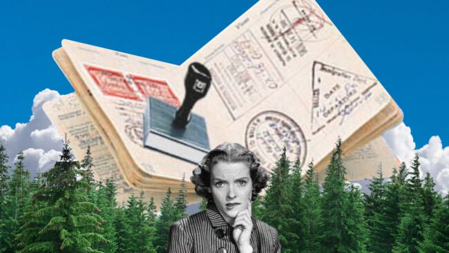 CVblog-Tier-4Pilot-Scheme