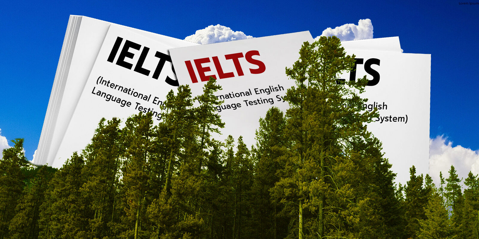 CVblog-review-IELTS