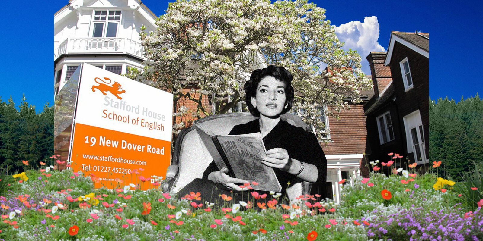 CVblog-staffordhouse