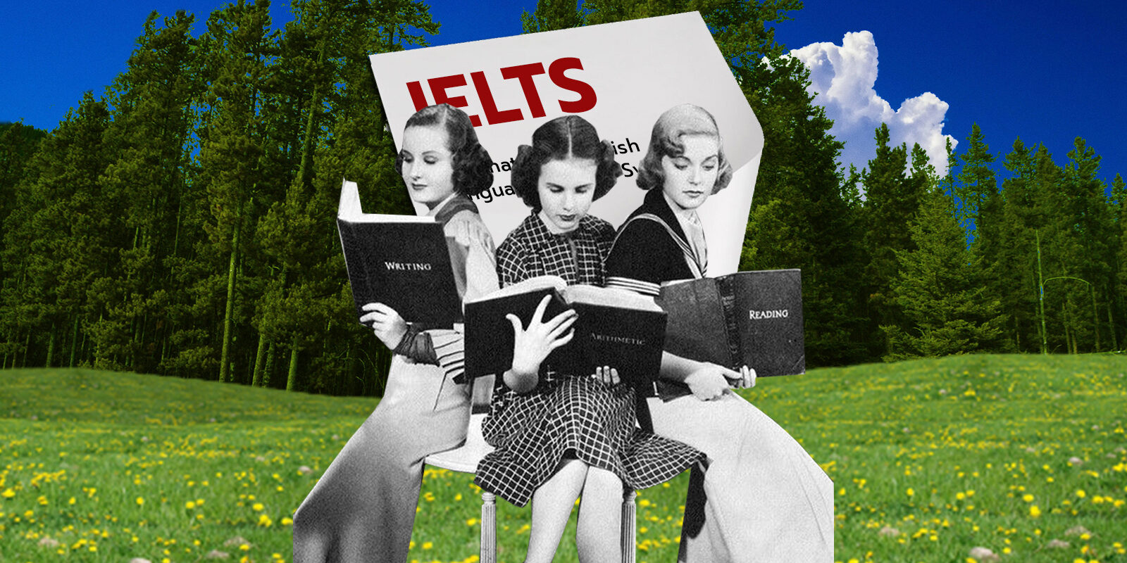 CVblog-test-IELTS