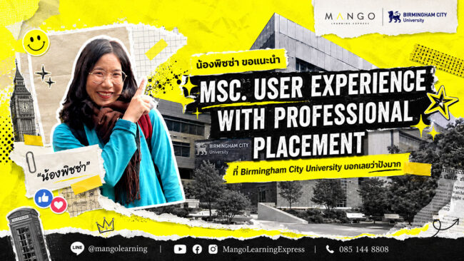 Msc-User-Experience-with-Professional-Placement